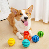 Dental Care Dog Ball