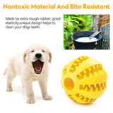 Dental Care Dog Ball