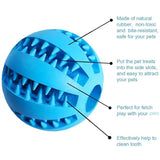 Dental Care Dog Ball
