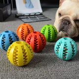 Dental Care Dog Ball