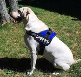 Ultimate Dog Vest