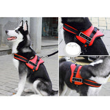 Ultimate Dog Vest